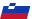 Slovenia flag