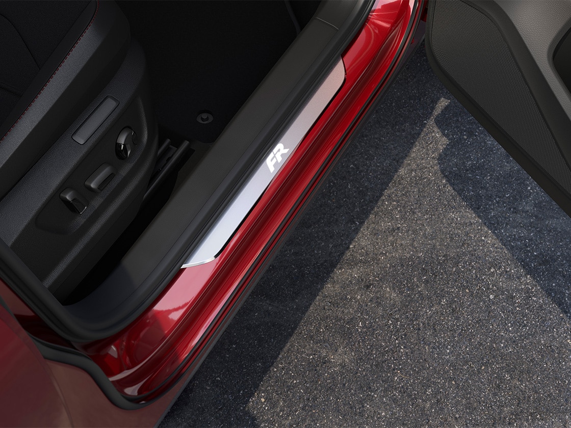 protective doorstep view that adds style and personality to the car.