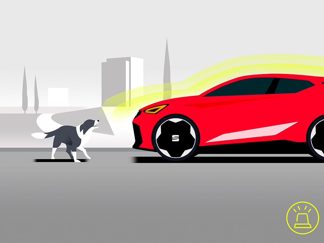 seat ibiza anti-theft alarm 