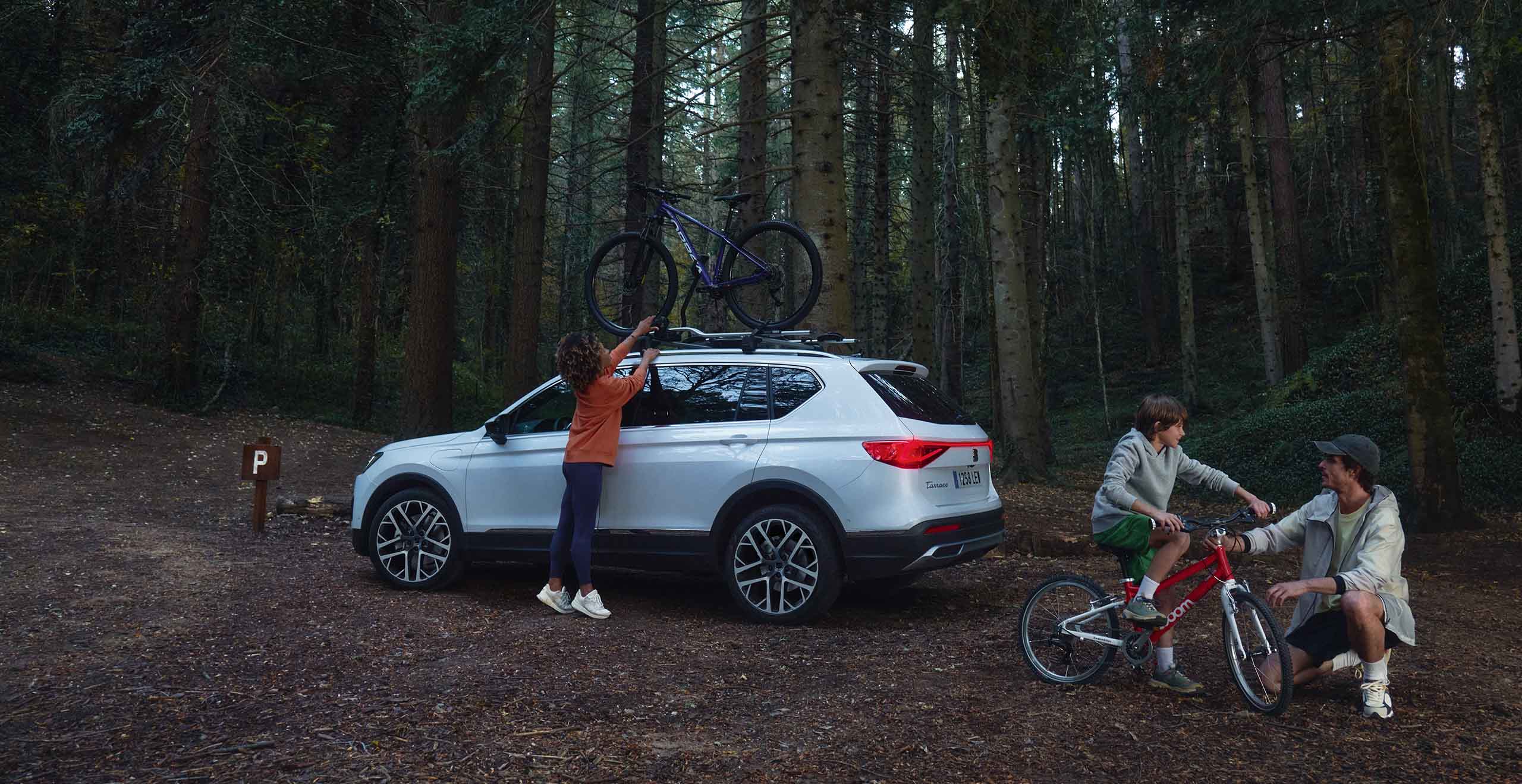 drone view of a beach with a seat ateca 