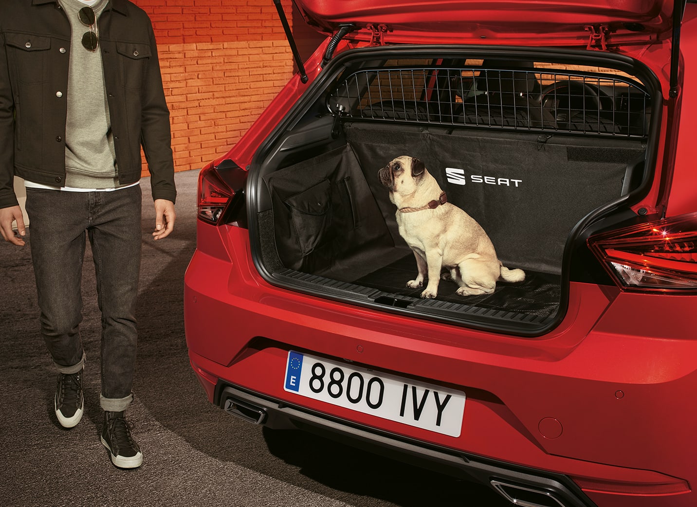 separation-grill-of-a-seat-ibiza-with-a-dog